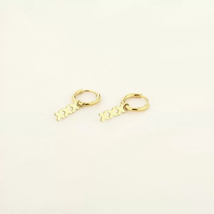 Amsie Earring
