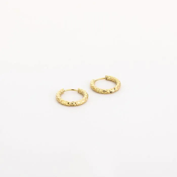 Sacha Earring