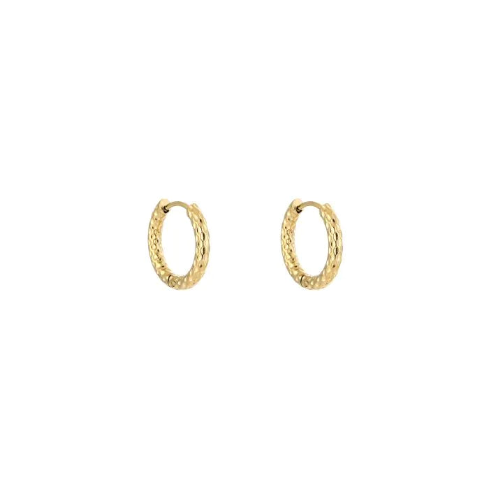 Sacha Earring