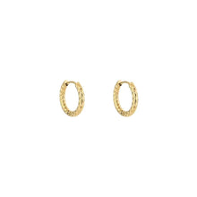 Sacha Earring