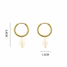 Pien Earring